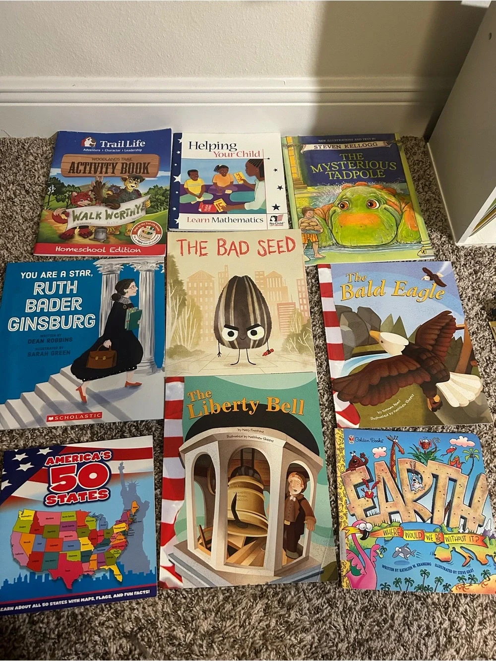Children's Picture Book Bundle of 9 Books